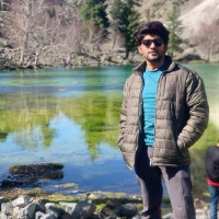 Adnan Ali
