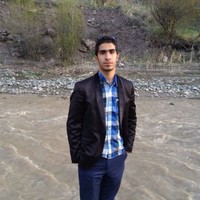 hamed besharat