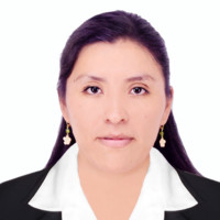 Karen Julia Castillo Perez