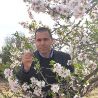 Ammar Mahmoudi