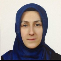 Hatice Filiz Arikan