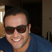 Mahmoud Abdelnaem