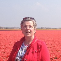 Joke Schoehuizen