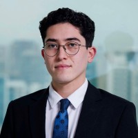 David Alejandro Angulo