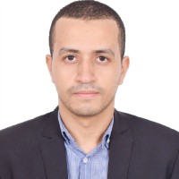 Hossam Hamad Hamed