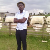 Alex Kamau