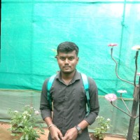 Murthy T