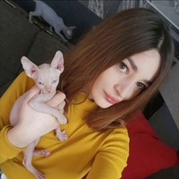 Ani Shonia