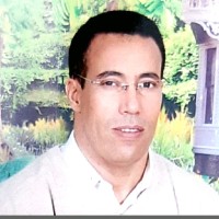 Ali SAIDI