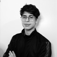 Henrique Palma