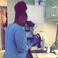Deonna Y.