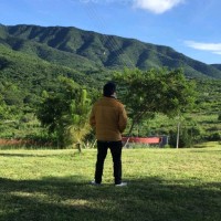 Ing. Brandon Ines L.
