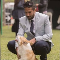 Luis Angel Bazan Asencios