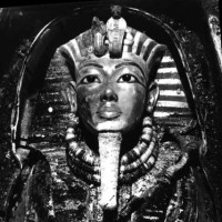 Amon Ra