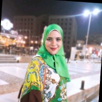 Alaa Ezz El Din
