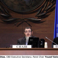 Dr. Yousef S. Al-Hafedh