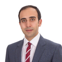 Mohammad Hadi Mahjouri