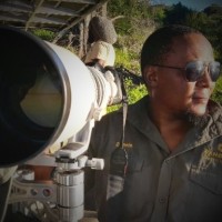 Dennis Mokapisi