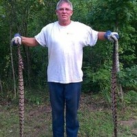 Jim Hammil