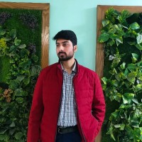 Muhammad Qaim Ali