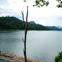 chayanisa wutthiprapha