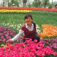 Han Tu
