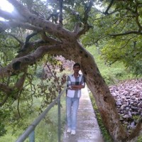 Akshay Soam