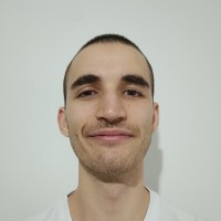 Hillel Nitzan