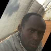 Patrick Koech