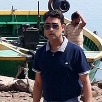 Narayan Roy