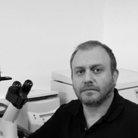 Dimitris Kontoyiannis
