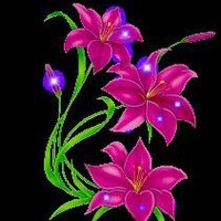 clippingpath service