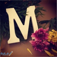 منيره السبيعي