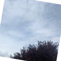 Bienvenido Muñoz Cabello