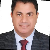 Ibrahim Fadel