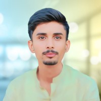 M Saeed Anwer