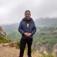 Wilson Flores