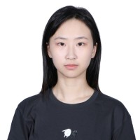 Yanfei Li