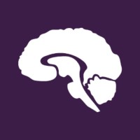 Grey Matters Neuroscience Journal