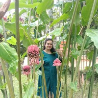 Deepa Babu