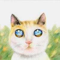 应静菡