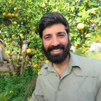 Yuval Leibovich