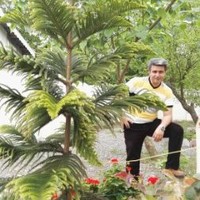 Morteza Feizabadi