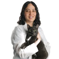 Mari Sato Quicksall, DVM, CVA