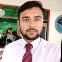 Hassan Javed