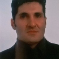 massimo costantini