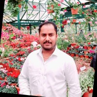 Manjunath sr