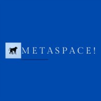 Metaspace Consult