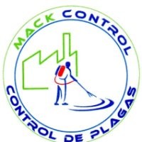 Arlette Noriega Hernandez