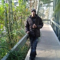 Sulaiman Sadi Ibrahim